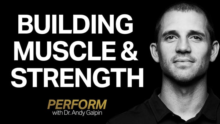 Build Muscle Size, Strength & Power With Science-Backed Programs