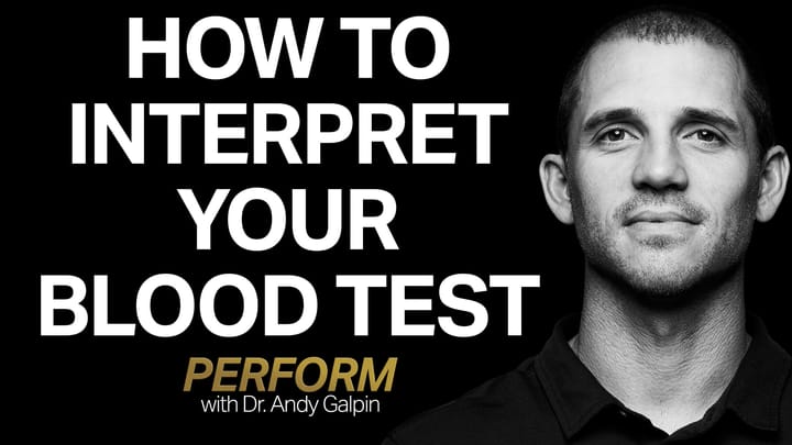 How to Use & Interpret Blood Tests for High Performance